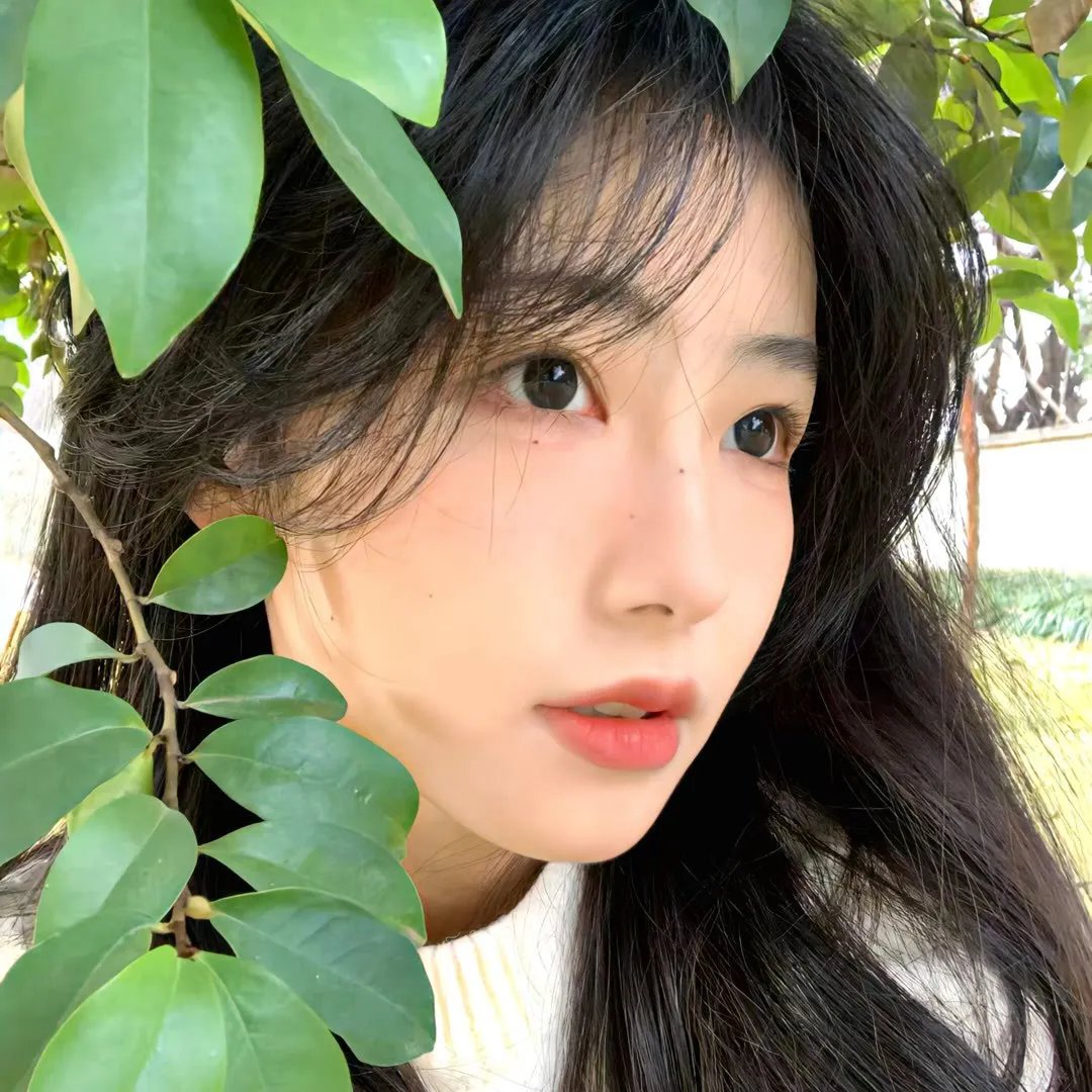 秘河密友